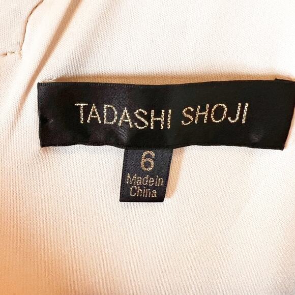 Tadashi Shoji Embroidered Lace Banded Waist Blush Primrose Dress 6 - Picture 7 of 10